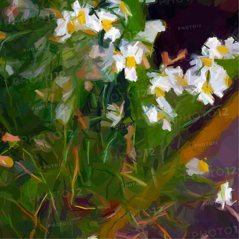 Vector daisies composition
