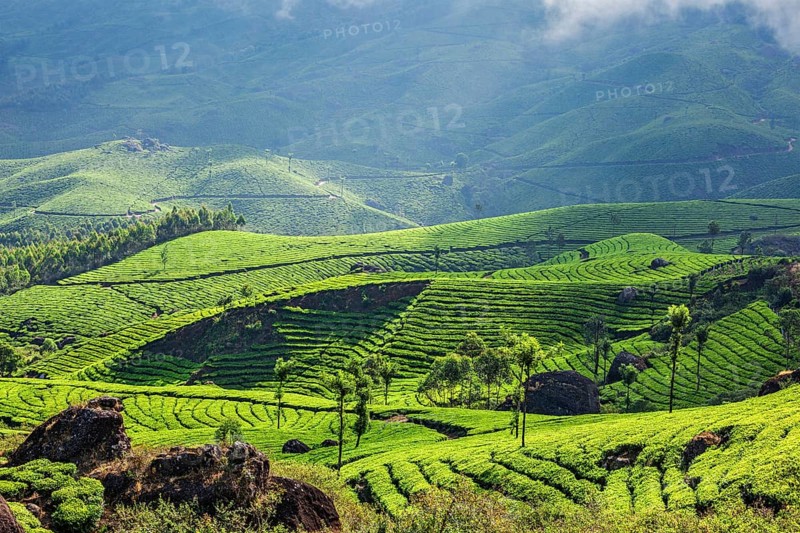 Kerala India travel background