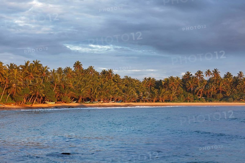 Fishing boats on beach on sunset. Mirissa