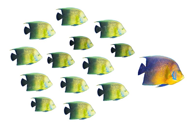Leadership concept