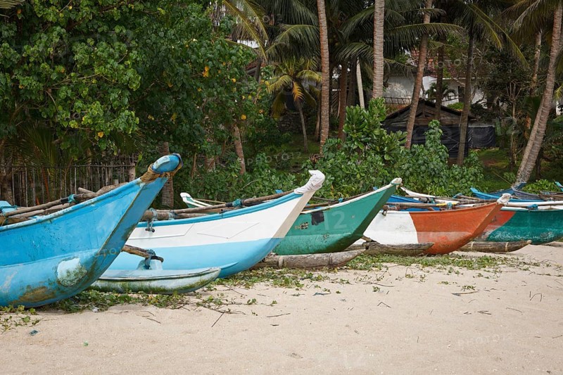 Fishing boats on beach. Mirissa