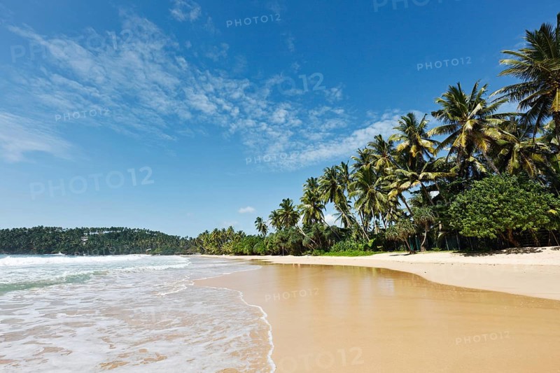 Tropical paradise idyllic beach. Mirissa