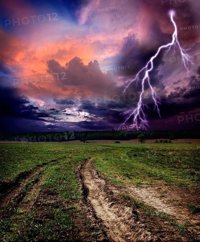 Countryside landscape with dirt road