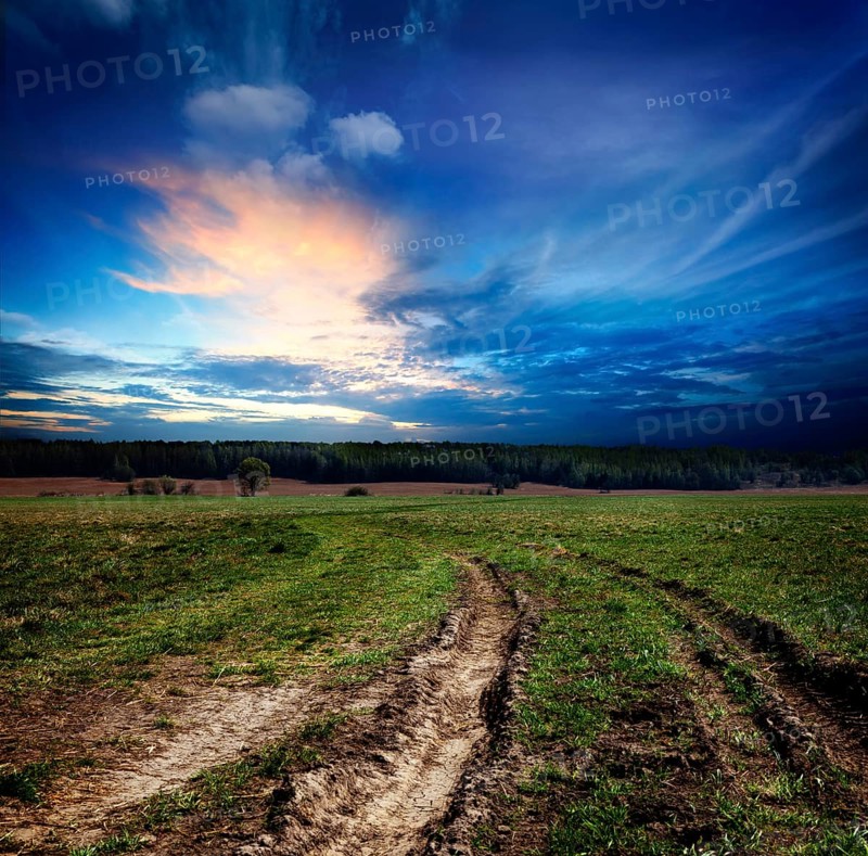 Countryside landscape with dirt road