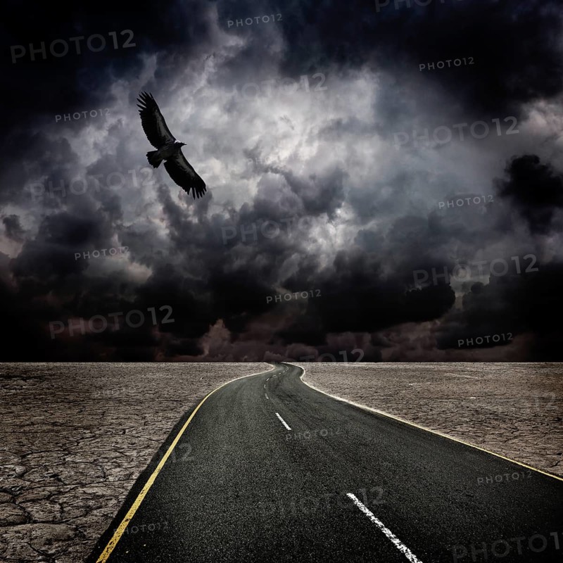 Storm