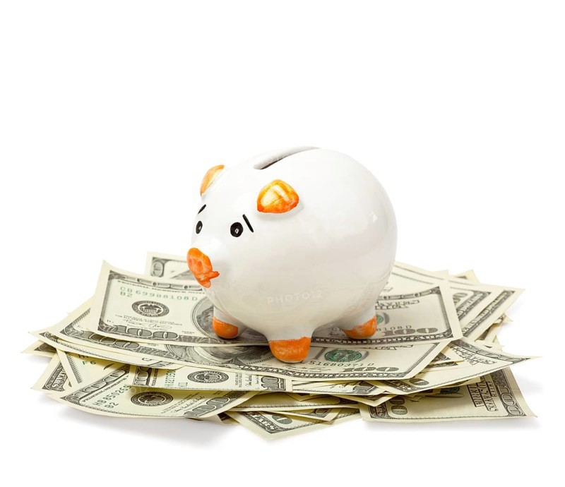 Piggy bank on dollars