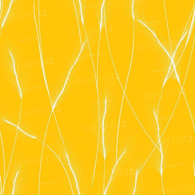 Wheat cereal ears seamless pattern
