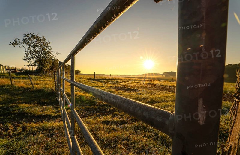 In the countryside