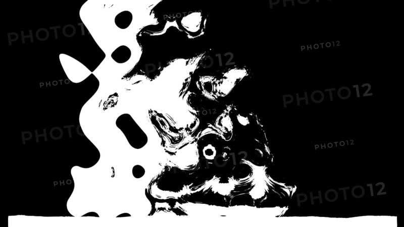 Black and white transition