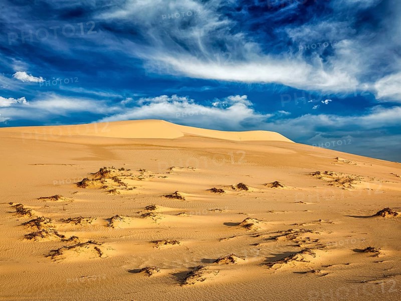 White sand dunes in desert on sunrise