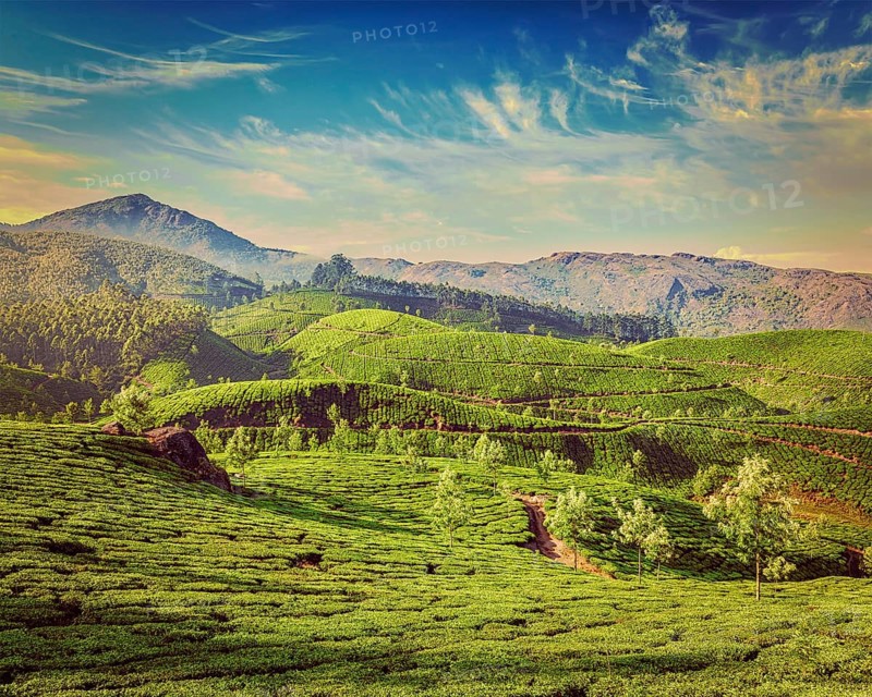 Kerala India travel background