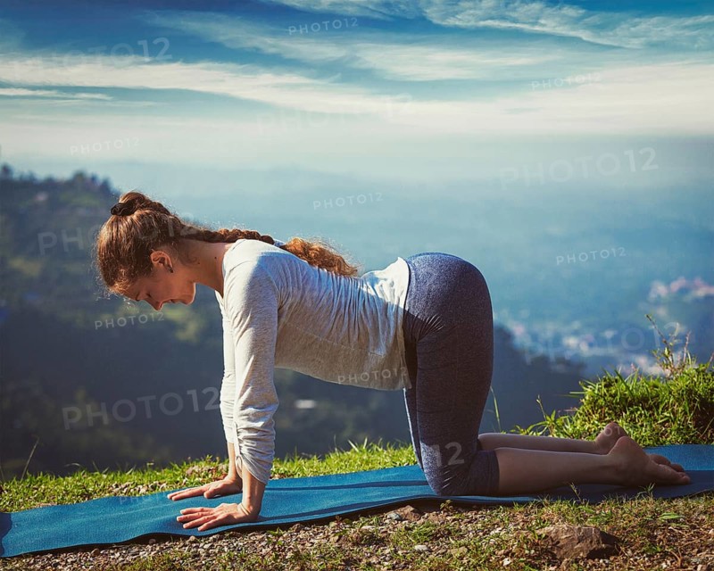 Vintage retro effect hipster style image of sporty fit woman practices yoga asana bitilasana