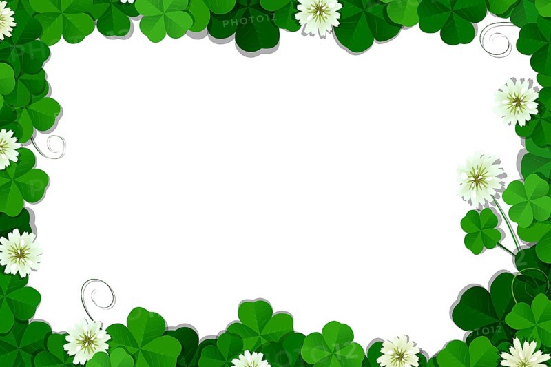 Four leaf clover frame vector over white background