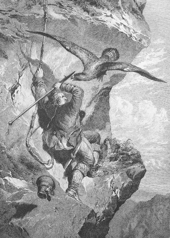 Man wants to plunder an eagle's nest