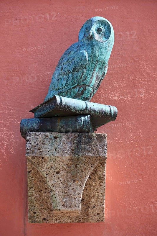 Statue of an owl at the library