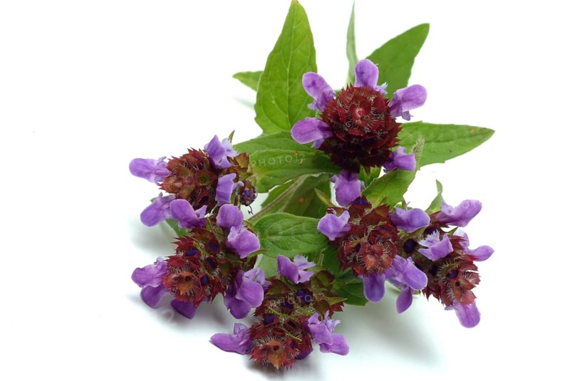 Common selfheal