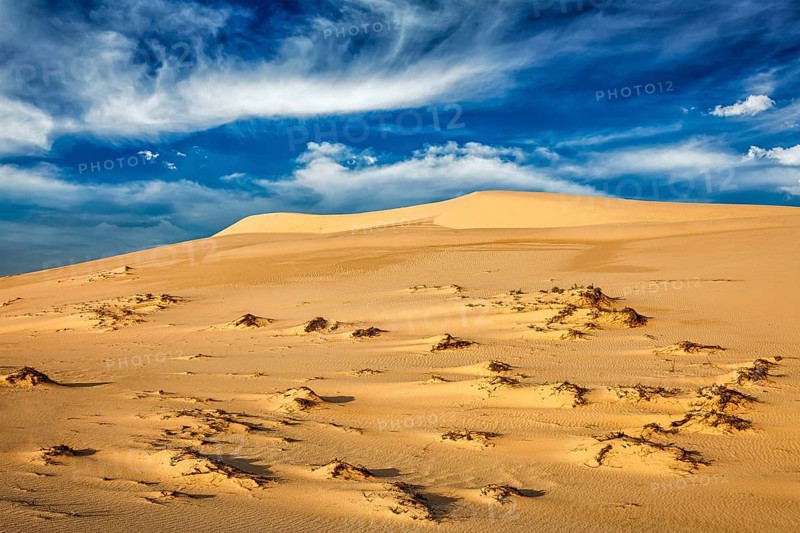 White sand dunes in desert on sunrise