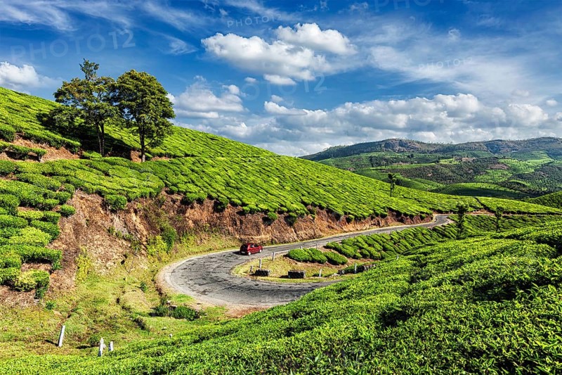 Kerala India travel background