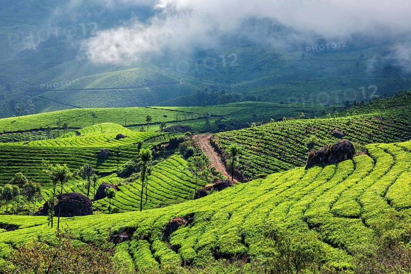 Kerala India travel background