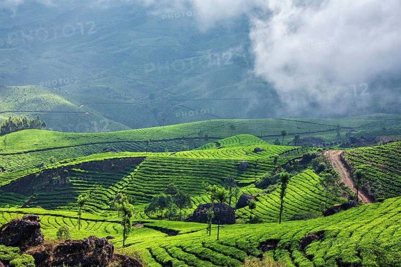 Kerala India travel background