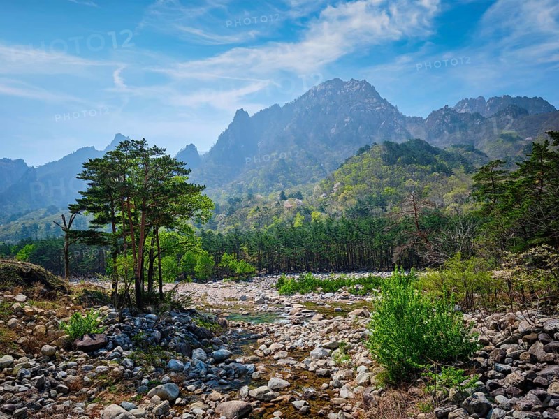 Landscape and trees in Seoraksan National Park