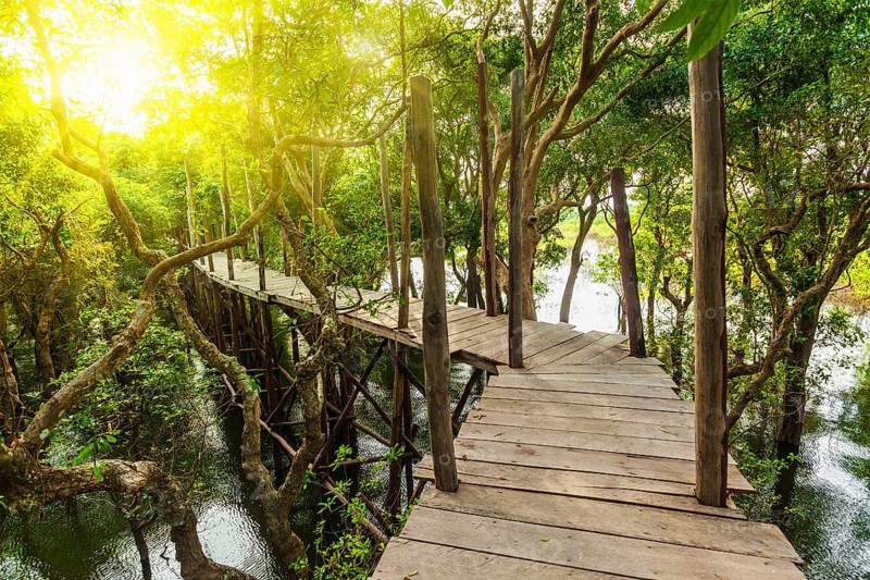Tropical exotic travel concept