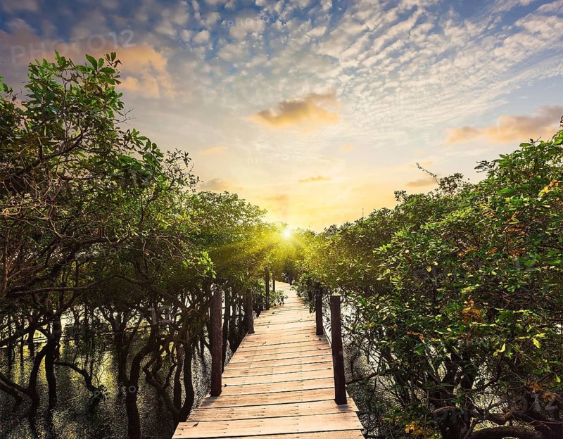 Tropical exotic travel concept