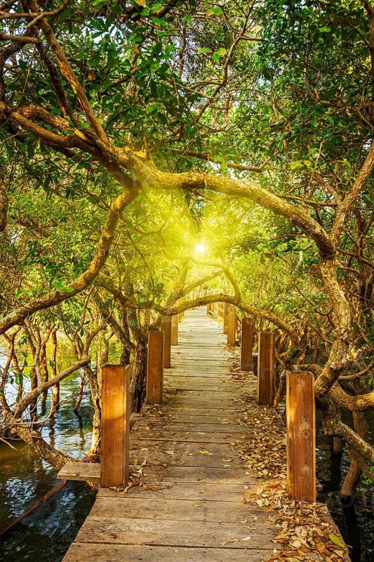 Tropical exotic travel concept