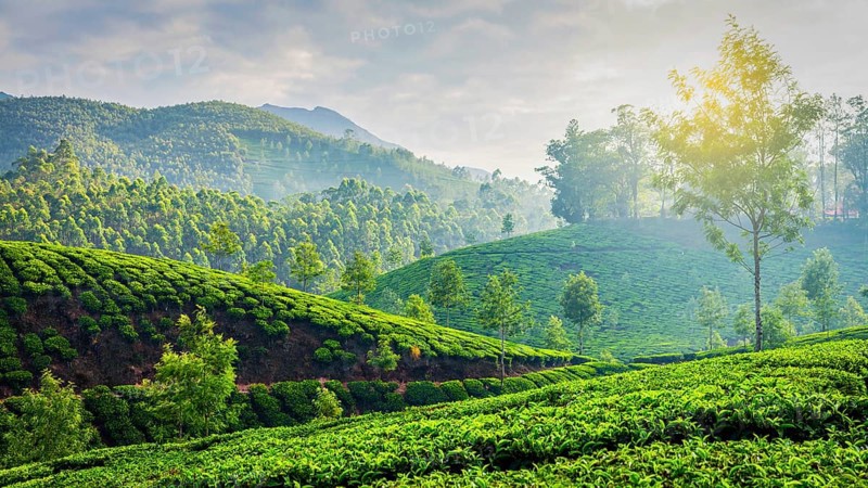 Kerala India travel background