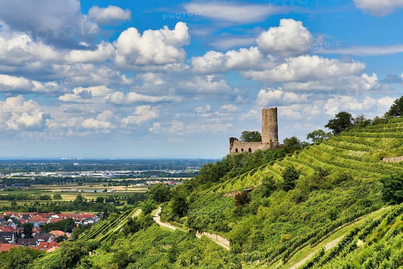 View on Odenwald fores hill with German castle ruin and restaurant called Strahlenburg in Schriesheim city