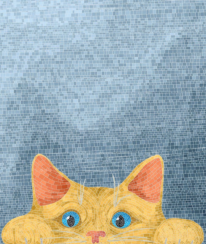 Cute cat