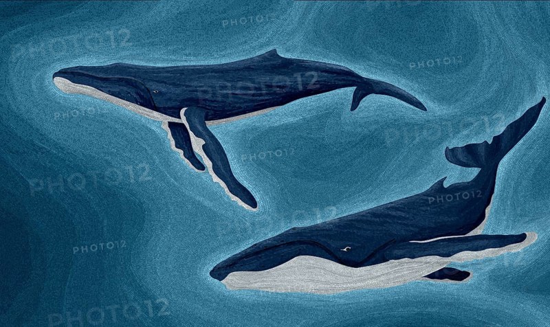 Humpback whales mosaic art