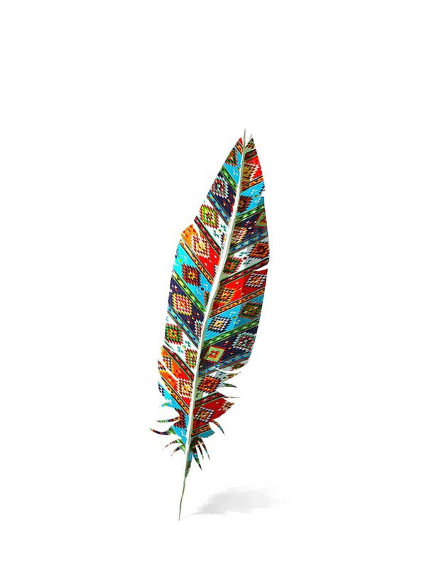 Watercolor style drawing of a American Indian fether and shaddow over white background