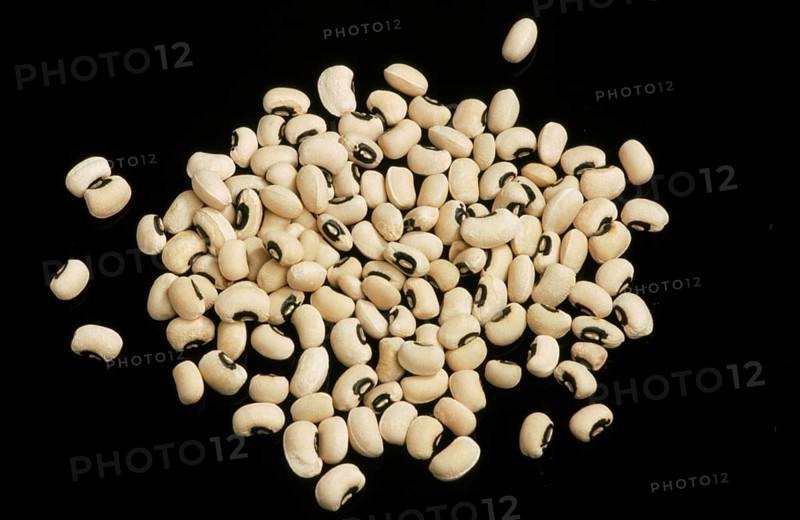 Beans