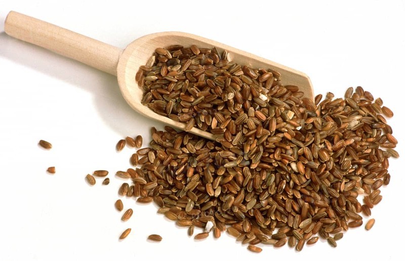 Rice