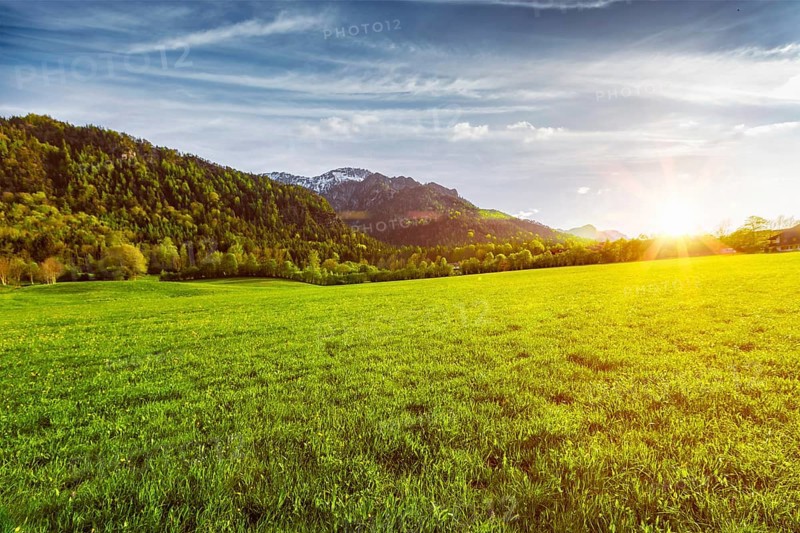 Patoral field meadow in Bavarian Alps. Bavaria