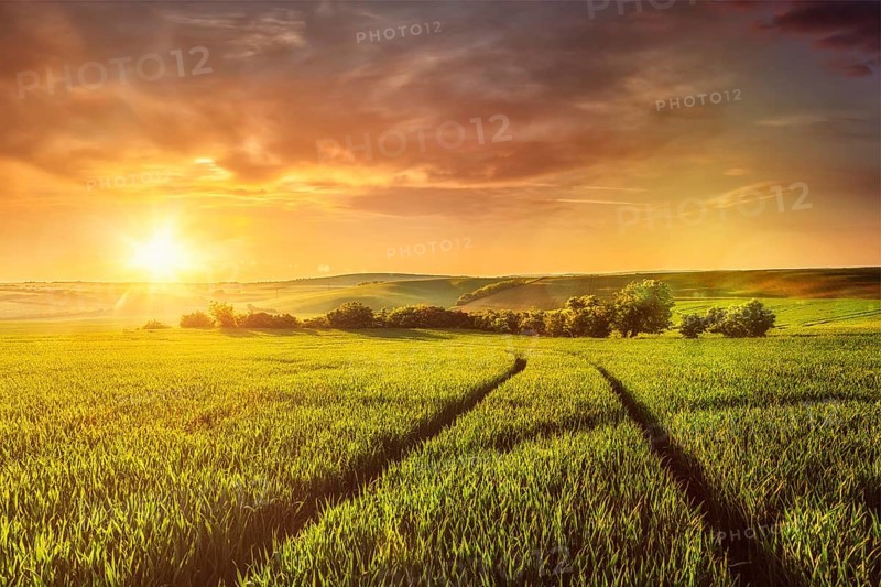 Beuatiful sunset in fields of Moravia