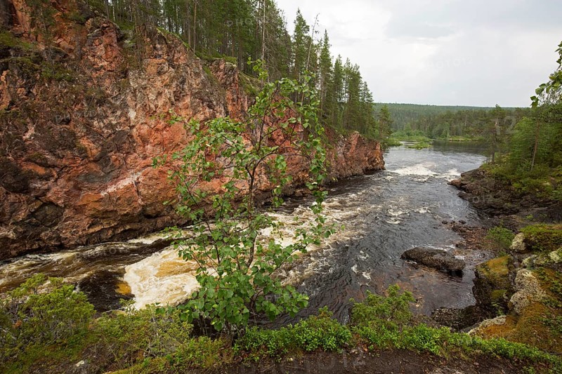 Kiutakoengaes Rapids in Oulanka National Park