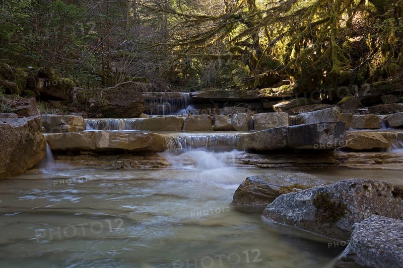 Stream with rapids