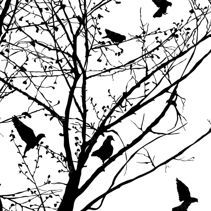 Background illustration with pigeons silhouettes in the trees