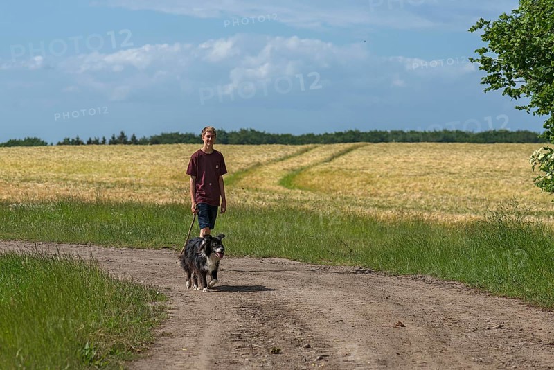 Boy walking his Border Collie