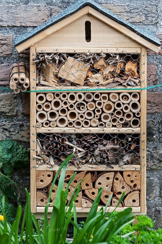 Insect hotel with artificial nesting facilities for solitary bees and burrows for hibernating ladybirds and butterflies near flower and vegetable garden
