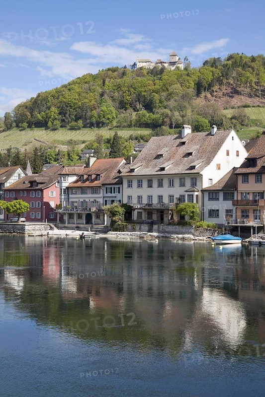 Rhine bank