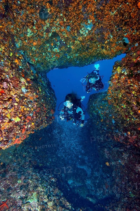Diver in Cave of the Stalactites