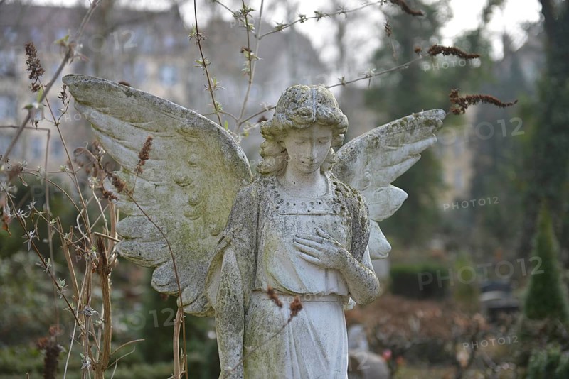 Mourning Angel