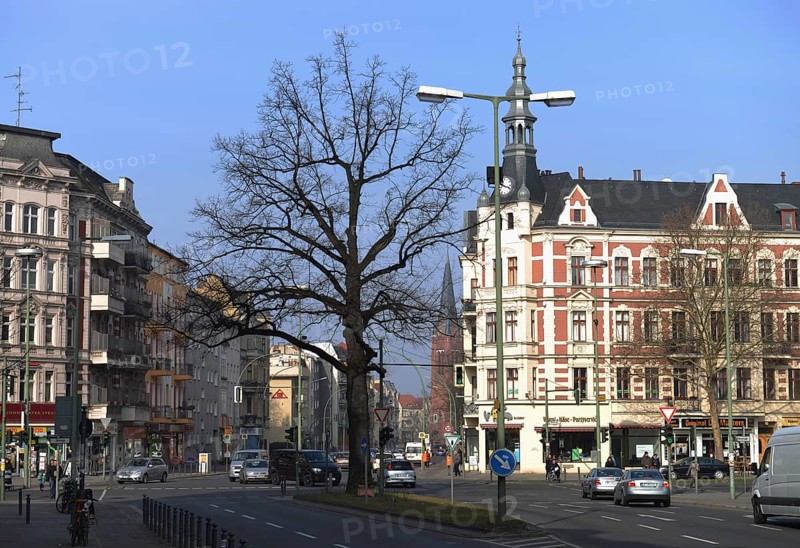 Kaisereiche