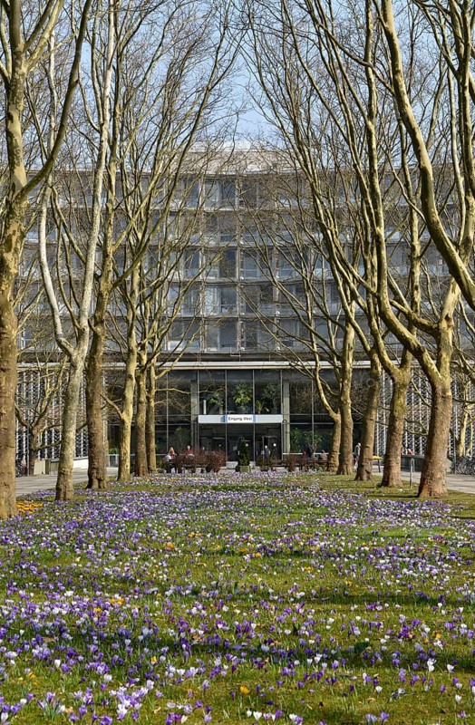Hospital 'Benjamin Franklin'