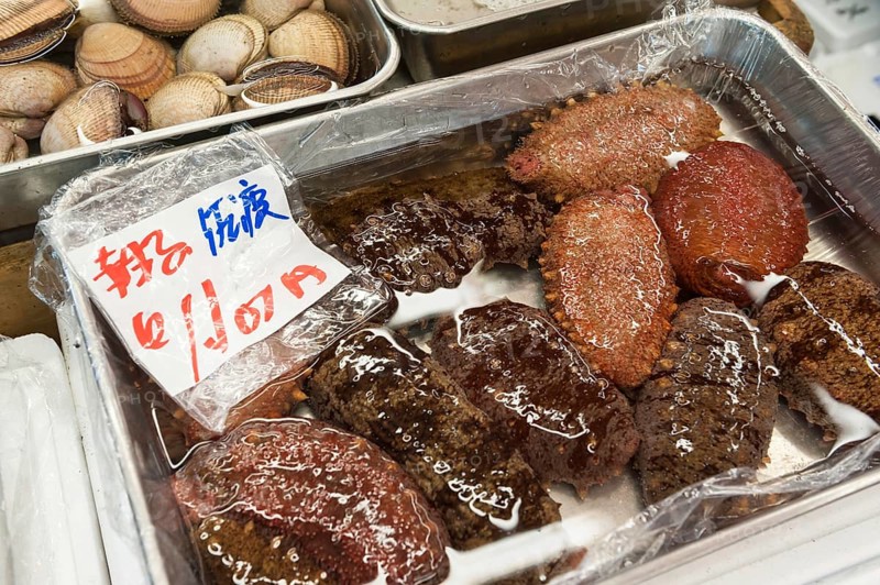 Sea cucumbers for sale