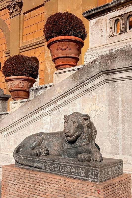 Egyptian Lion