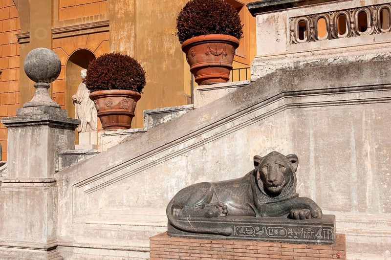 Egyptian Lion